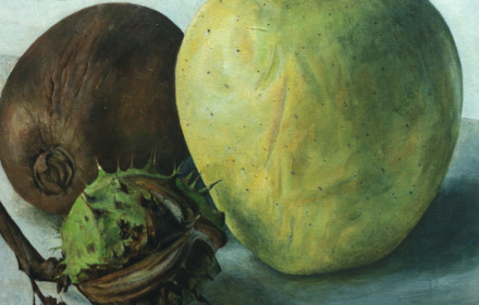 Apple, Chestnut and Kiwi.