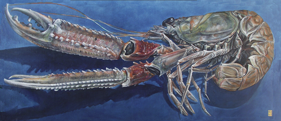 Dublin Bay Prawn